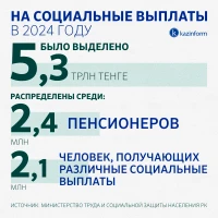 Social payments - photo 1