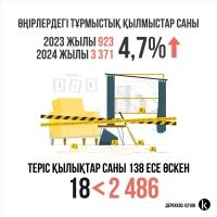 Тұрмыстағы зорлық-зомбылық - фото 2