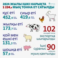 Ішкі нарықтағы ет сату көлемі, 2024 жыл - фото 1