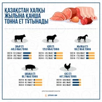 Meat sales volume in the domestic market, 2024 - photo 2