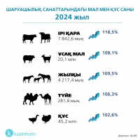 Шаруашылық санаттарындағы малмен құс саны - фото 2