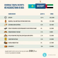Trade turnover between Kazakhstan and the UAE - photo 3