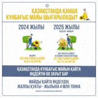 Sunflower Oil Export - photo 2