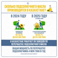 Sunflower Oil Export - photo 3