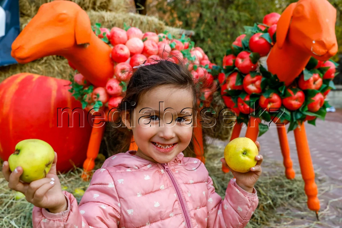 Apple Festival in Almaty: Tons of fruit, music, and good traditions - photo 1