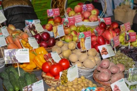 Digitalization in the Agro-Industry: Over 300 Farms in Kazakhstan Have Adopted Smart Technologies - photo 10