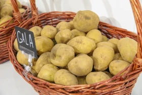 Digitalization in the Agro-Industry: Over 300 Farms in Kazakhstan Have Adopted Smart Technologies - photo 12