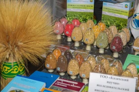 Digitalization in the Agro-Industry: Over 300 Farms in Kazakhstan Have Adopted Smart Technologies - photo 13