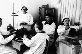 World War II — 1939–1945 - photo 2