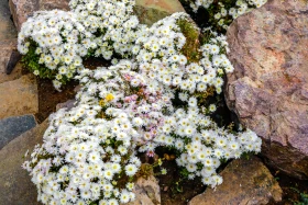 The new face of Almaty: what the former Presidential Residence site looks like now - photo 13