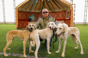 Quick learners: Almaty hosts a competition to choose the best Kazakh tazy dogs - photo 1
