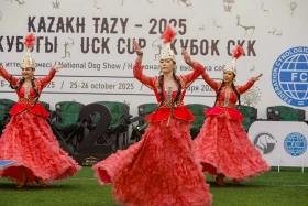 Алматыда тазы тұқымының ең үздігі анықталады - фото 10