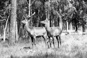 1960-1985 жылдардағы Қазақстан - фото 34