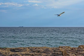 1986 жылдан бастап қазірге дейінгі Қазақстан - фото 23