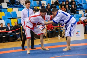 The Kazakh wrestling tournament among employees of the Office of the President of the Republic of Kazakhstan was held in Astana - photo 5