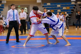 The Kazakh wrestling tournament among employees of the Office of the President of the Republic of Kazakhstan was held in Astana - photo 12