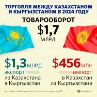 Trade turnover between Kazakhstan and Kyrgyzstan - photo 2