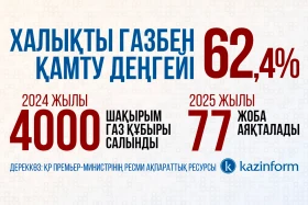 Уровень газификации населения - photo 1