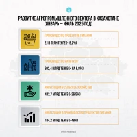 Development of the agro-industrial sector in Kazakhstan - photo 1