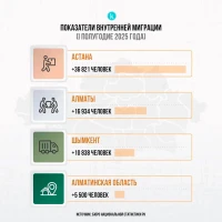 Ішкі көші-қон көрсеткіші - фото 2