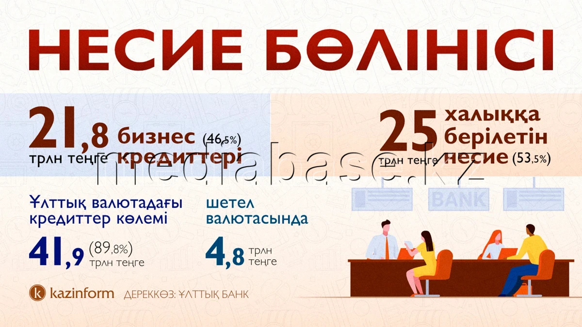 Loan distribution - photo 1