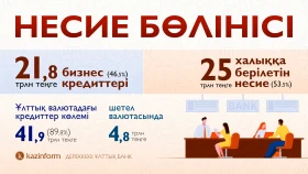 Loan distribution - photo 1