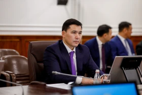 The roadmaps for sports development in Kazakhstan will be approved by December 20. - photo 4