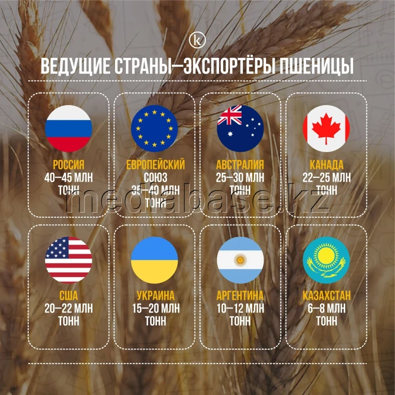 Leading wheat-exporting countries - photo 1