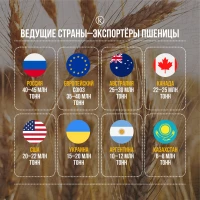 Leading wheat-exporting countries - photo 1