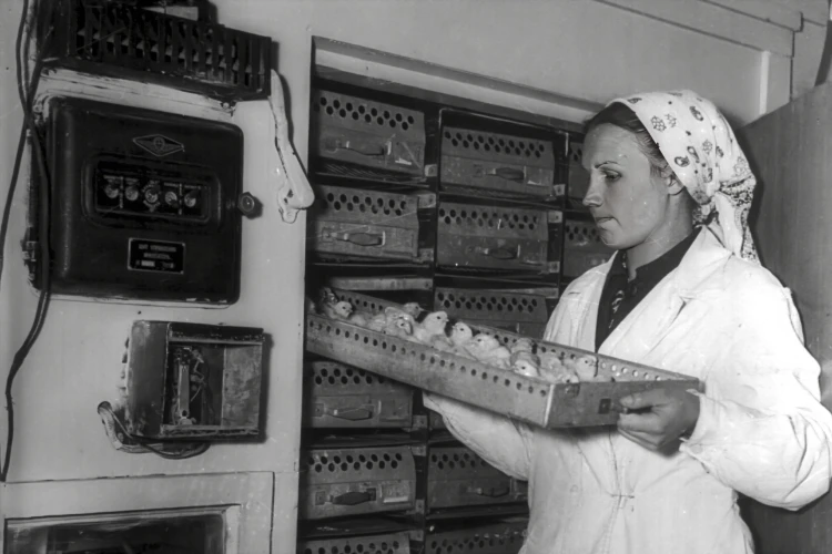 Фотовыставка, посвящённая 105-летию международного информационного агентства Kazinform