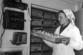 A photo exhibition dedicated to the 105th anniversary of the international news agency Kazinform - photo 7