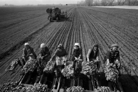 A photo exhibition dedicated to the 105th anniversary of the international news agency Kazinform - photo 29