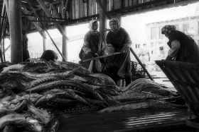 A photo exhibition dedicated to the 105th anniversary of the international news agency Kazinform - photo 52