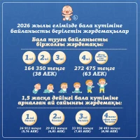 The amounts of social benefits in Kazakhstan - photo 1