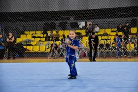The Kazakhstan Wushu Championship is being held in Astana - photo 8
