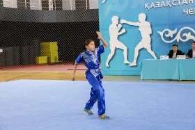 The Kazakhstan Wushu Championship is being held in Astana - photo 19