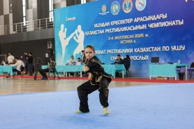 The Kazakhstan Wushu Championship is being held in Astana - photo 24