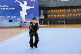 The Kazakhstan Wushu Championship is being held in Astana - photo 27
