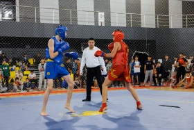 The Kazakhstan Wushu Championship is being held in Astana - photo 31