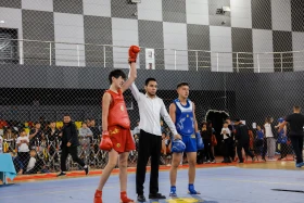 The Kazakhstan Wushu Championship is being held in Astana - photo 42