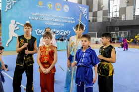 The Kazakhstan Wushu Championship is being held in Astana - photo 59