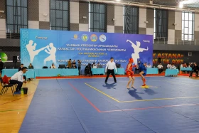 The Kazakhstan Wushu Championship is being held in Astana - photo 68