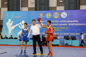 The Kazakhstan Wushu Championship is being held in Astana - photo 70