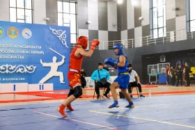 The Kazakhstan Wushu Championship is being held in Astana - photo 75