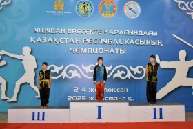 The Kazakhstan Wushu Championship is being held in Astana - photo 83