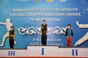 The Kazakhstan Wushu Championship is being held in Astana - photo 92
