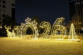 Up to 40 New Year trees light up Astana’s Ertegi Fest - photo 3
