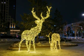 Up to 40 New Year trees light up Astana’s Ertegi Fest - photo 4