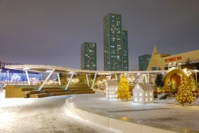 Up to 40 New Year trees light up Astana’s Ertegi Fest - photo 6