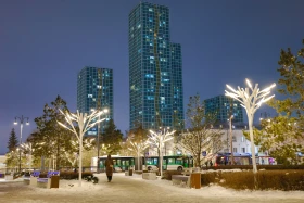 Up to 40 New Year trees light up Astana’s Ertegi Fest - photo 8